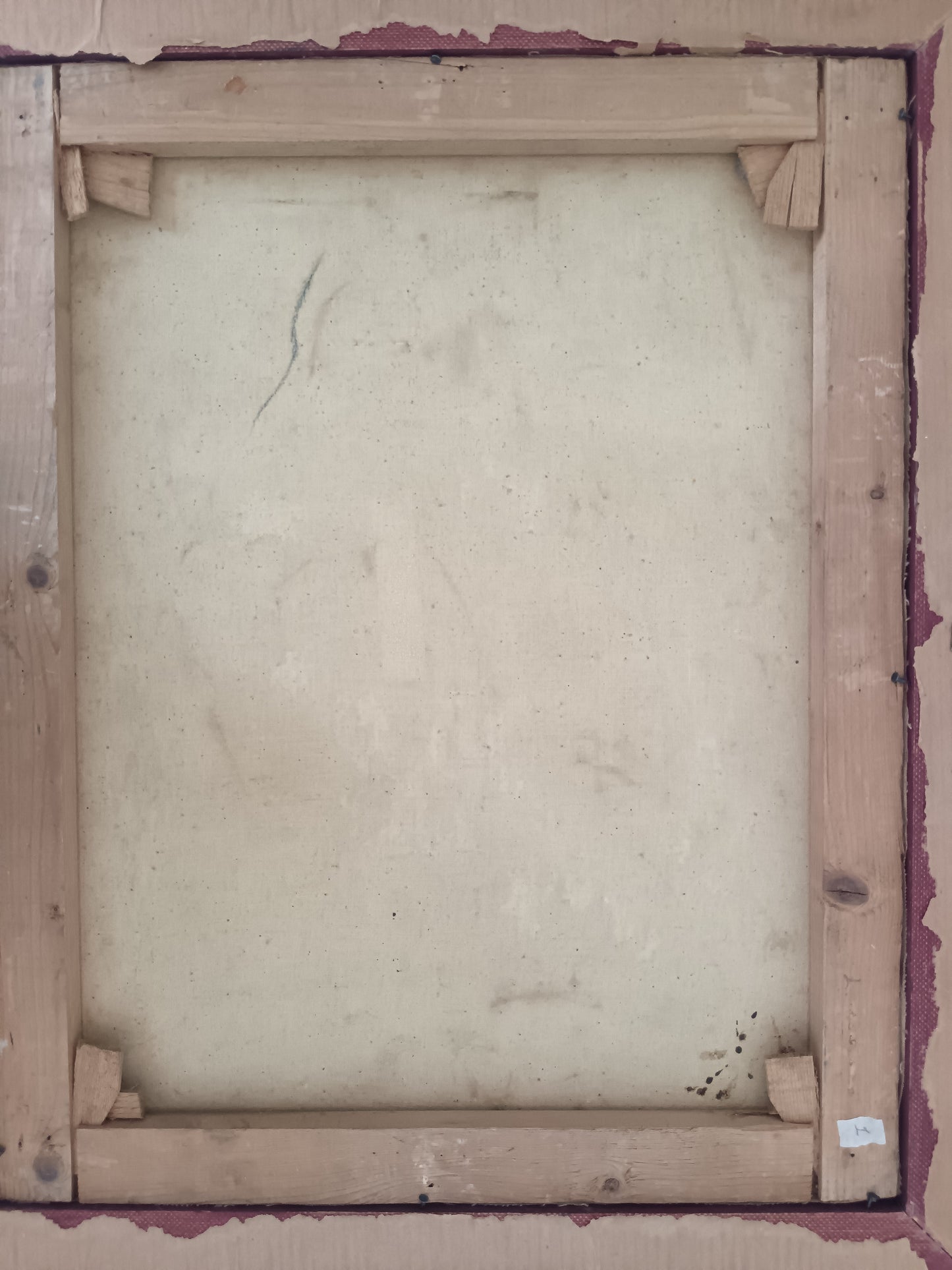 Tina Vaira Quadro dipinto olio su tela natura morta firmato