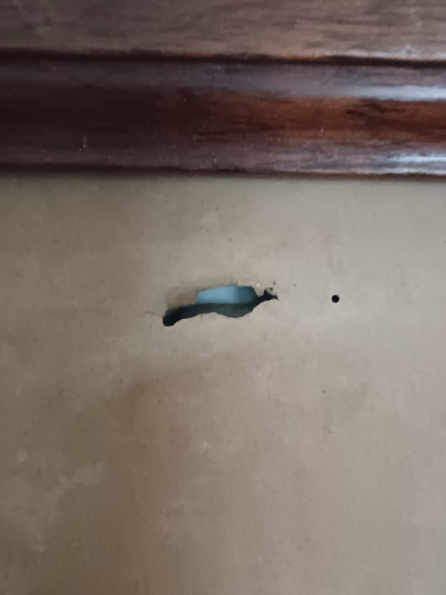 Jean Victor Adam (1801-1866) dipinto matita su carta applicata su legno