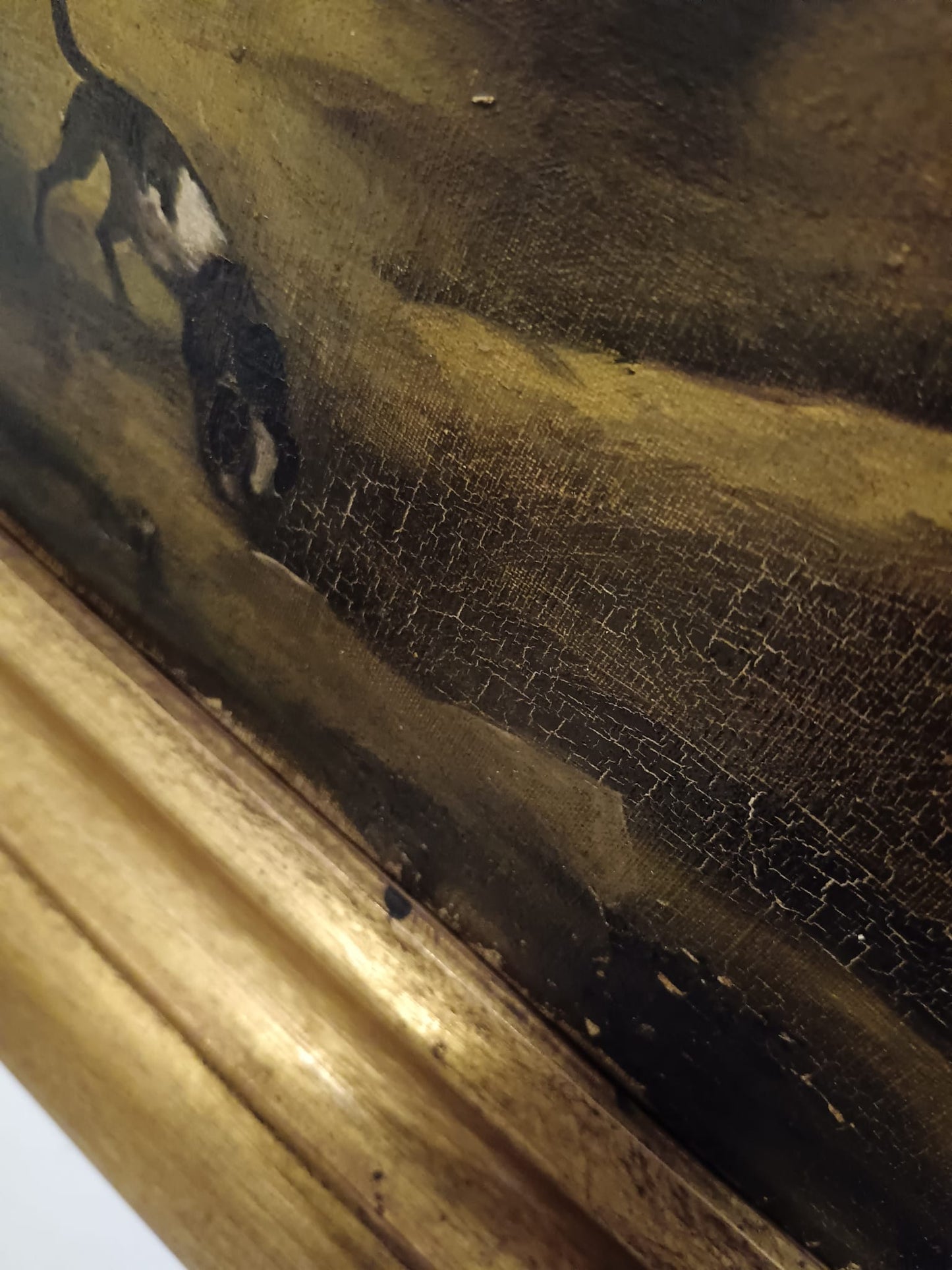 Paesaggio Estensivo (XX Secolo)- dipinto olio su tela