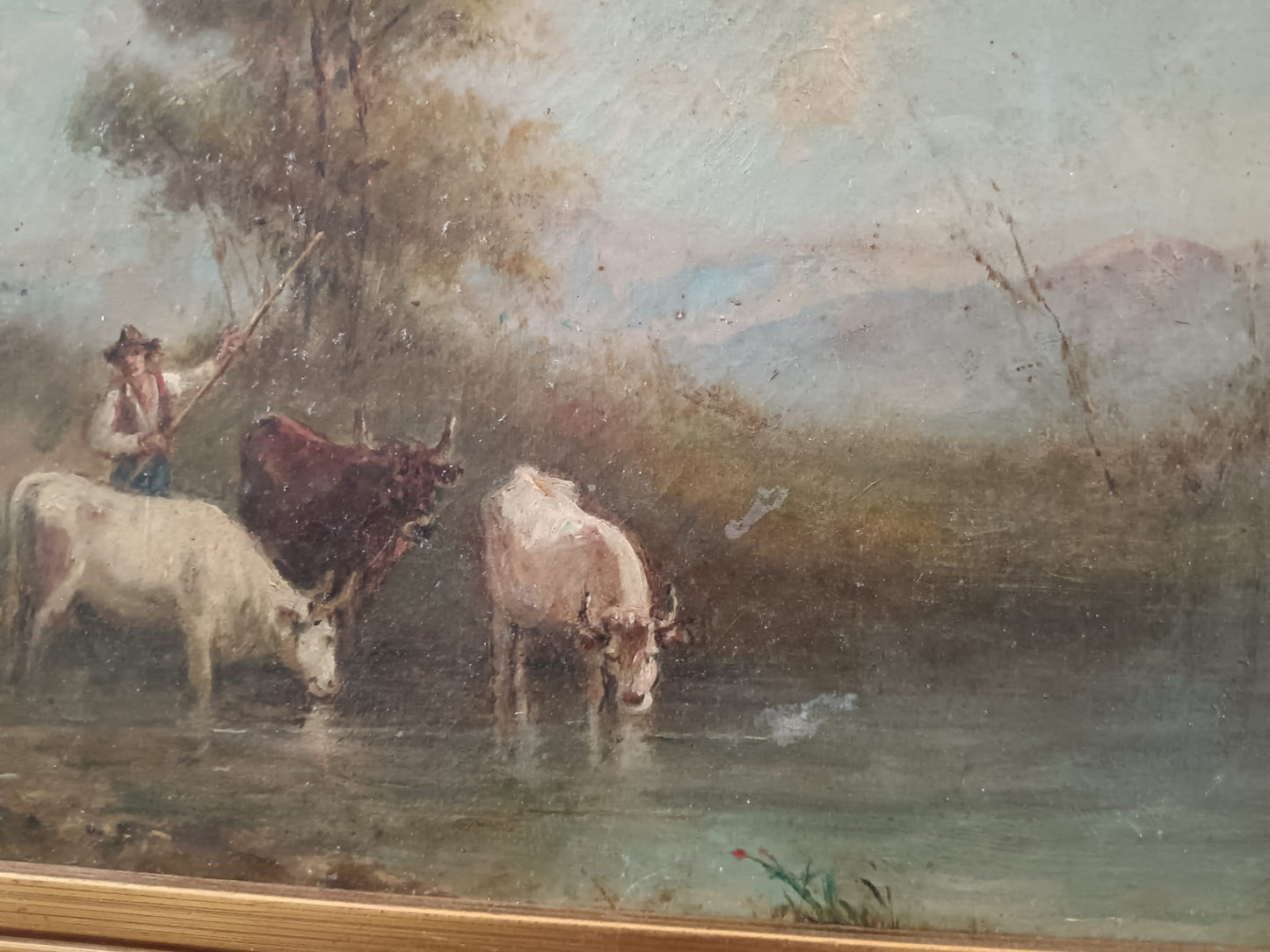 Scuola europea XIX secolo- scena pastorale dipinto olio su tela