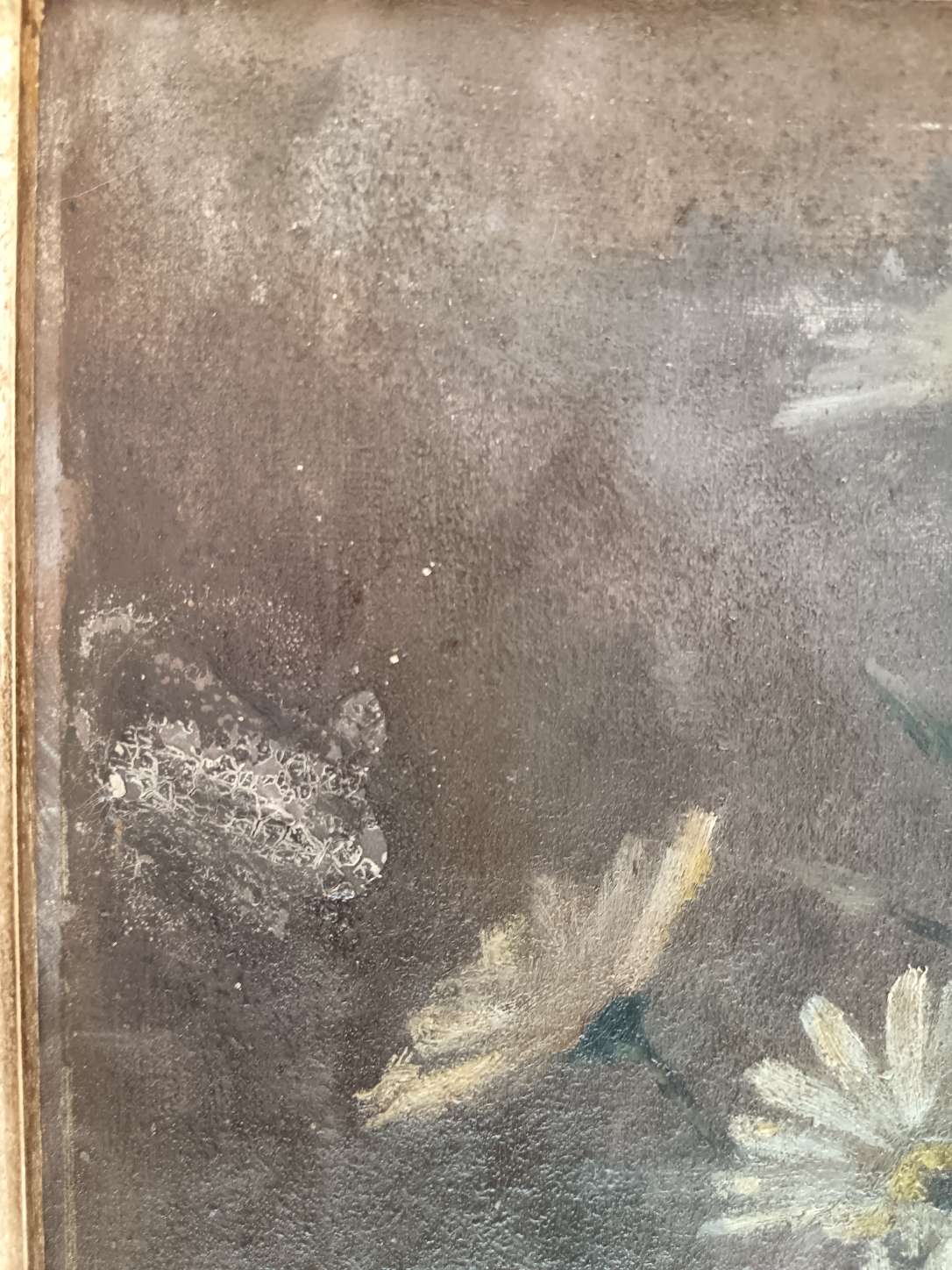 Dipinto Antico Olio su Tela Natura Morta Fiori Primo Novecento Cornice