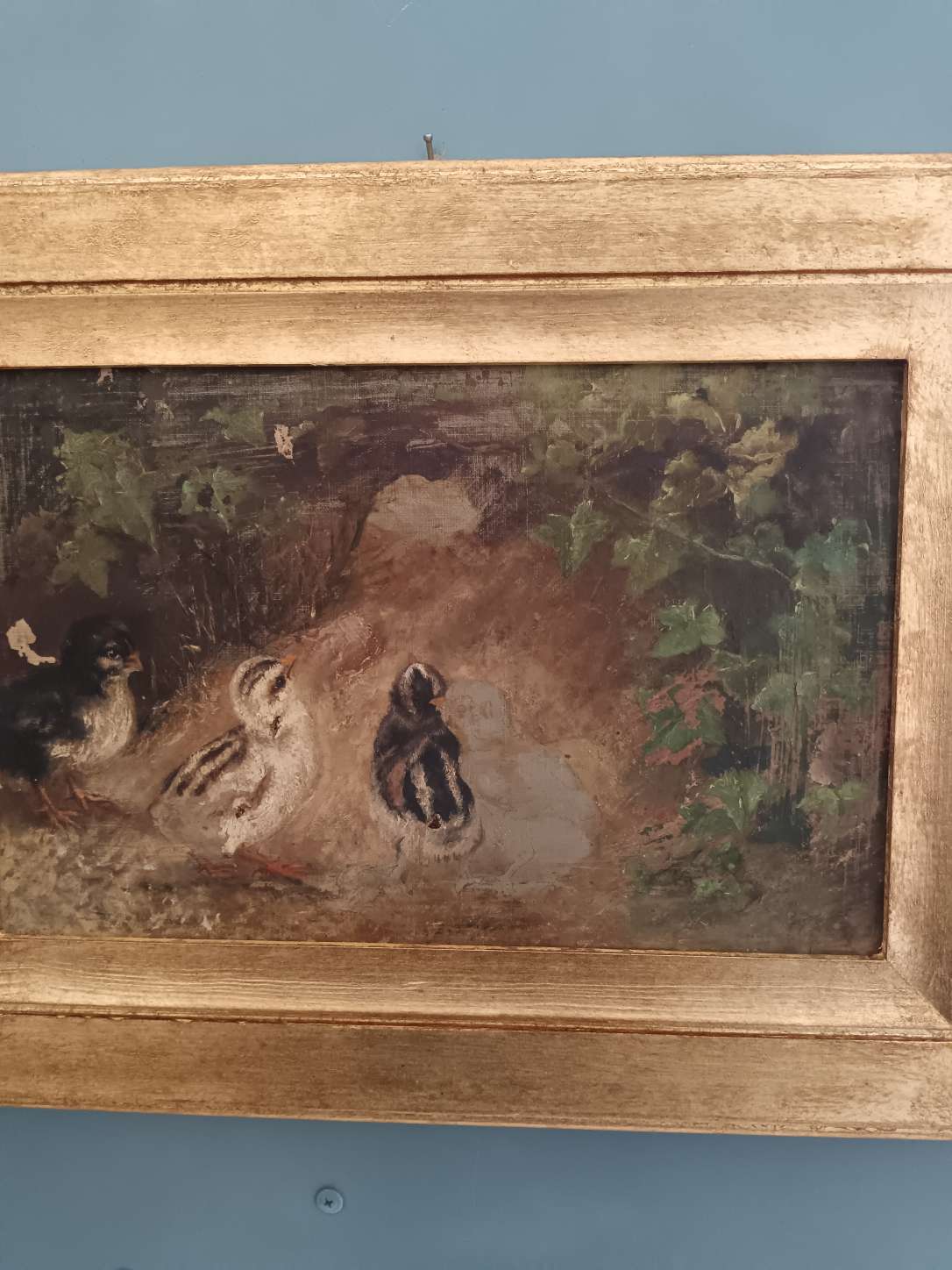 Antico dipinto olio su tela fine 800 studio bozzetto pulcini non completato