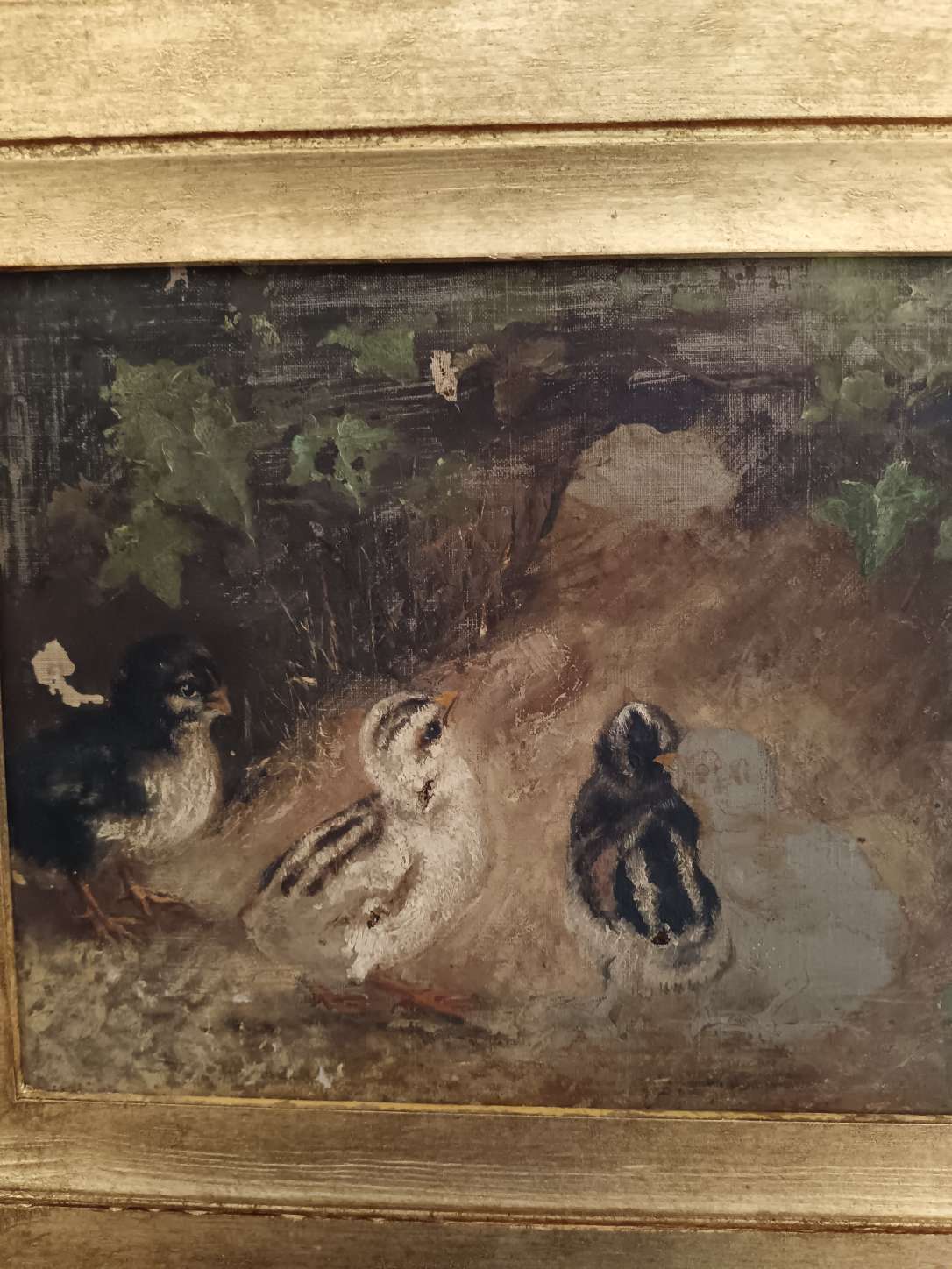 Antico dipinto olio su tela fine 800 studio bozzetto pulcini non completato