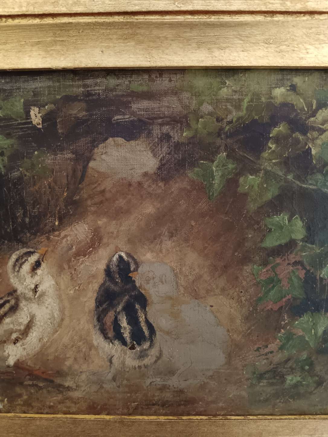 Antico dipinto olio su tela fine 800 studio bozzetto pulcini non completato