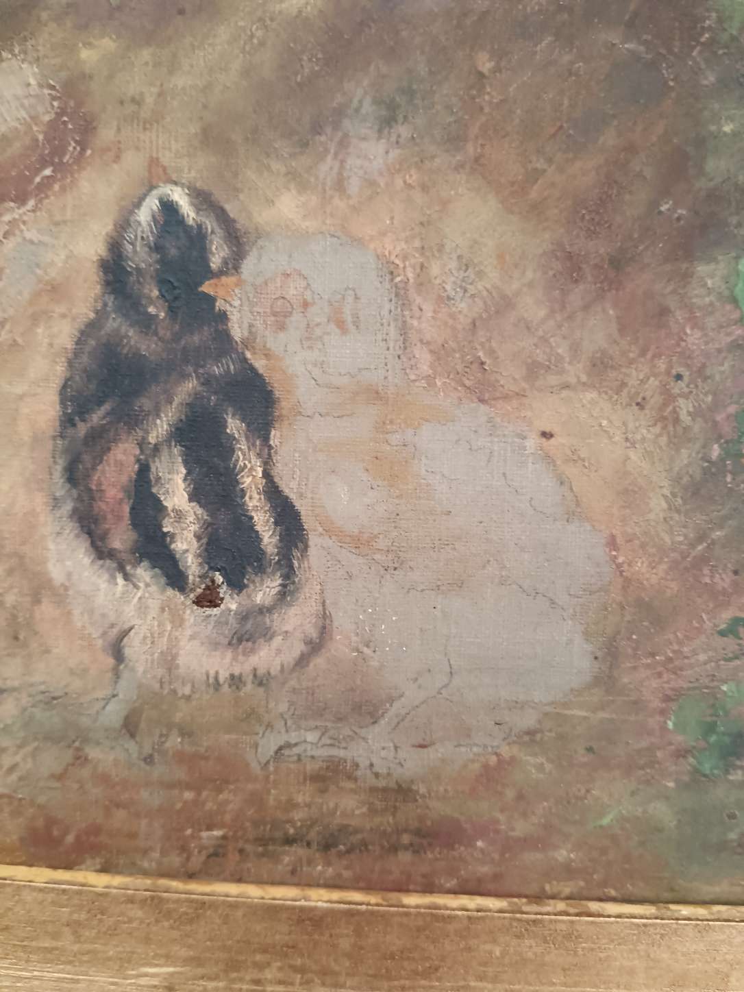 Antico dipinto olio su tela fine 800 studio bozzetto pulcini non completato