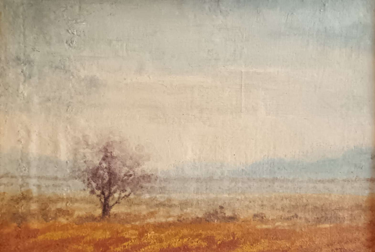 Nicolò Pirroda ( XX secolo) dipinto olio su tela, paesaggio