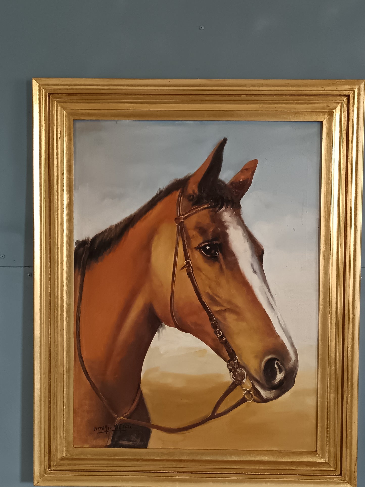 Vittorio Morelli ( XX secolo) ritratto di cavallo dipinto olio su tela
