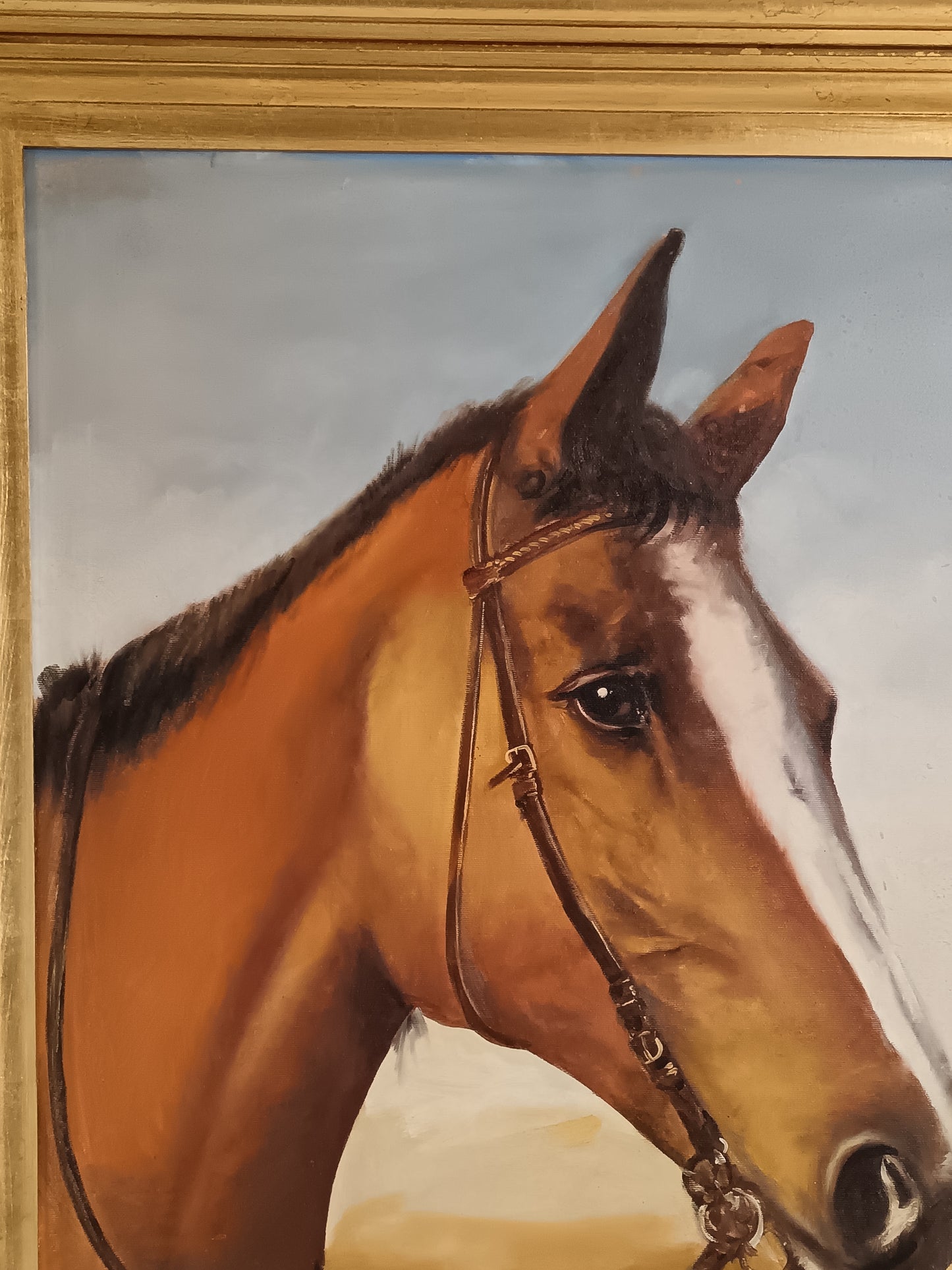 Vittorio Morelli ( XX secolo) ritratto di cavallo dipinto olio su tela