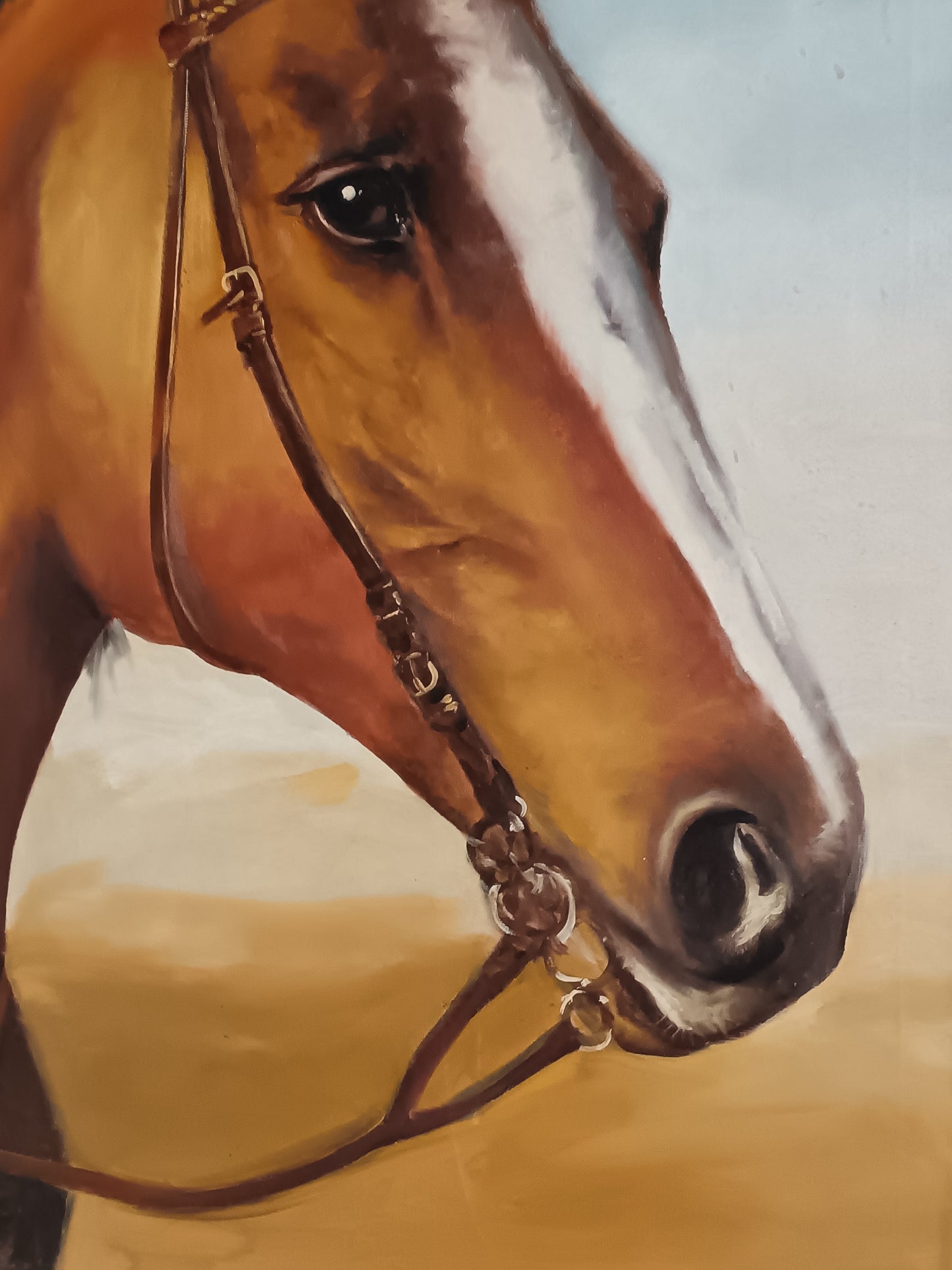 Vittorio Morelli ( XX secolo) ritratto di cavallo dipinto olio su tela