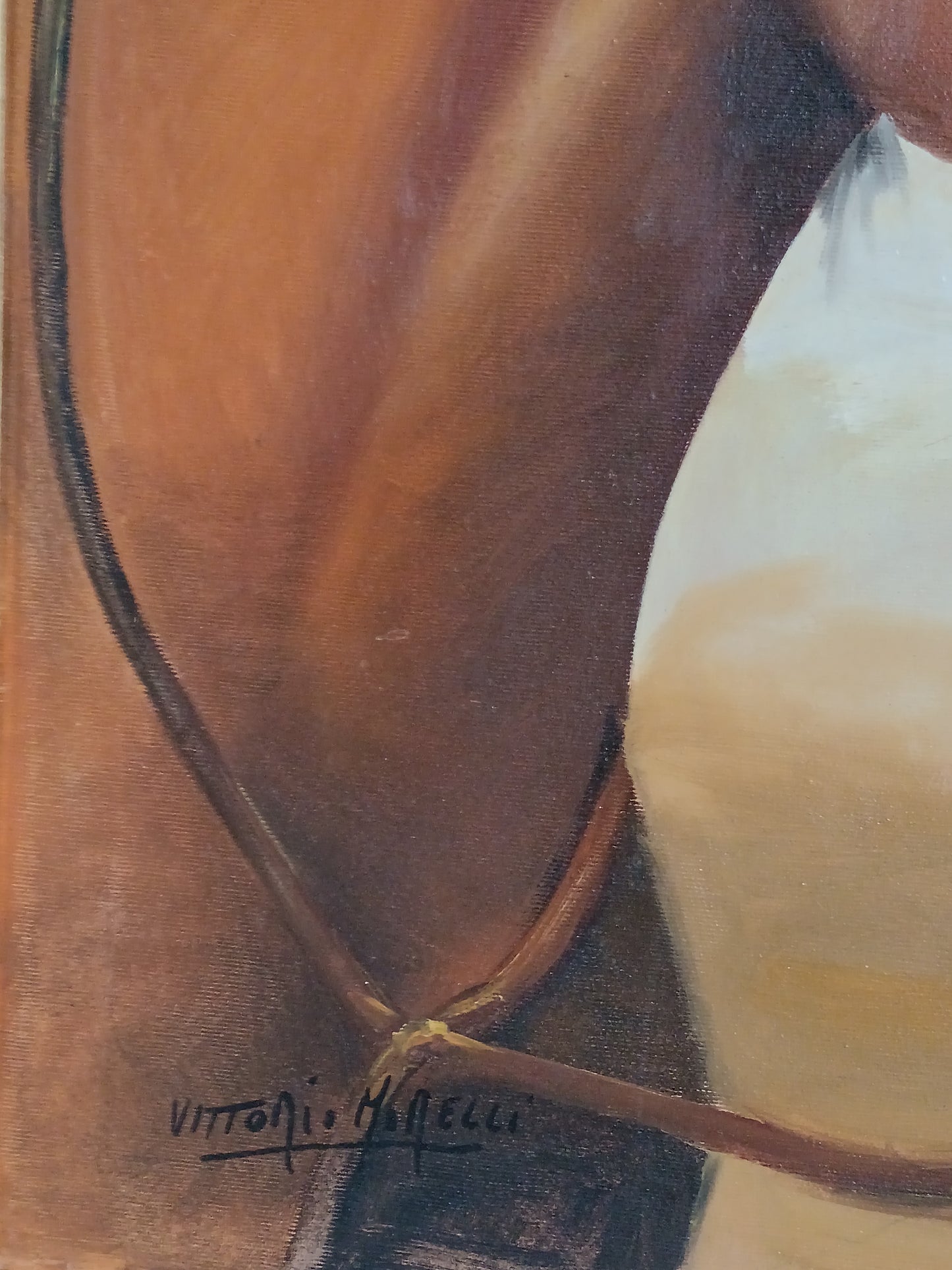 Vittorio Morelli ( XX secolo) ritratto di cavallo dipinto olio su tela