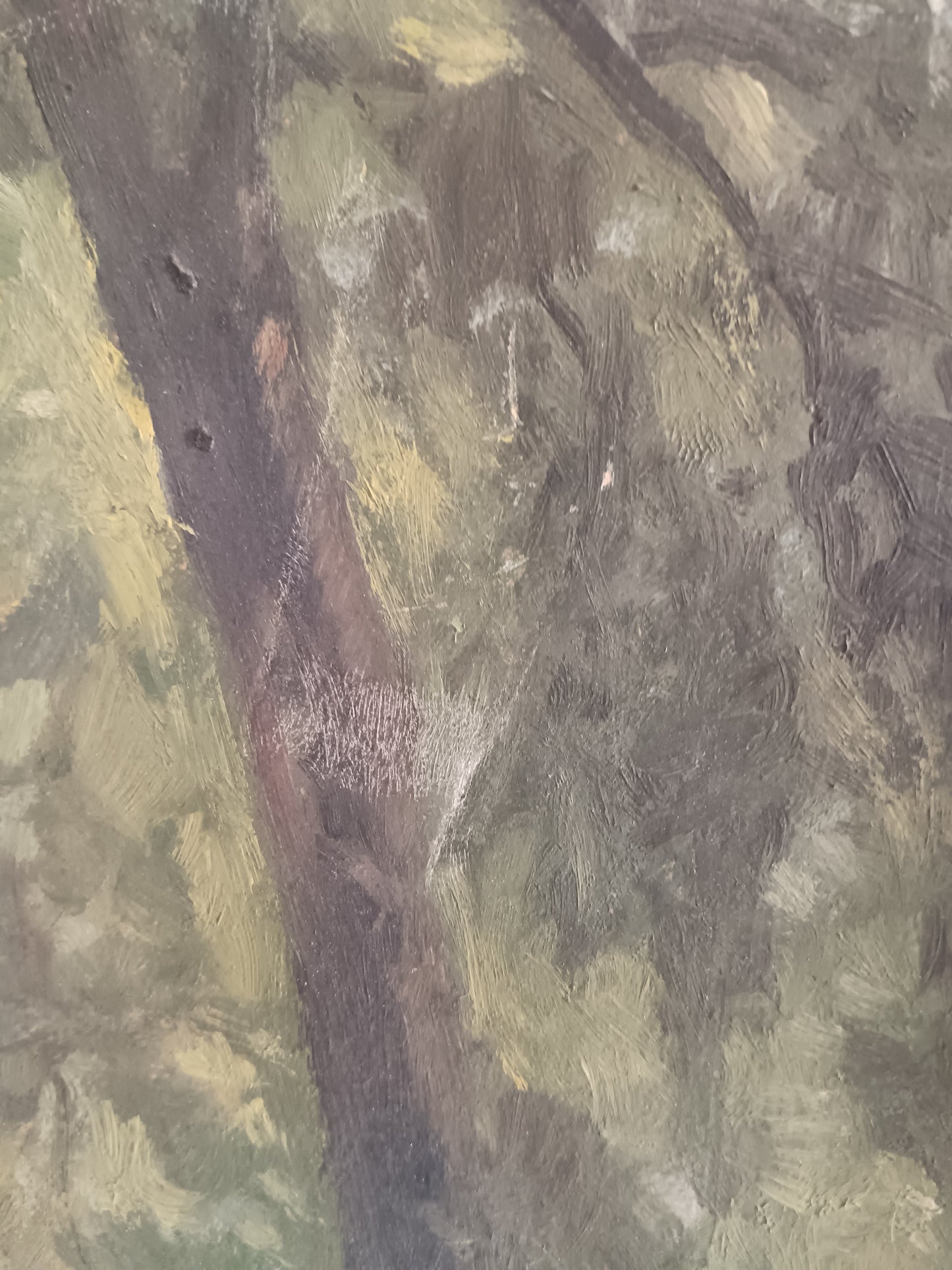 Ferruccio Pizzanelli Dipinto olio su cartoncino paesaggio bosco