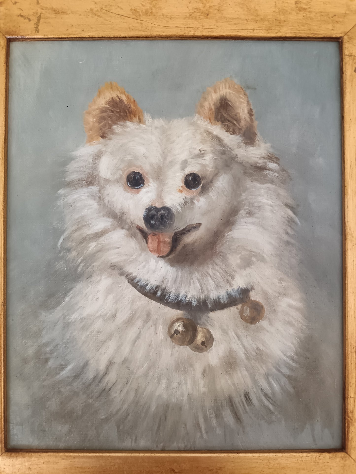 Copia da Filippo Palizzi – “Lupetto Bianco”, Olio su Tela con Cornice