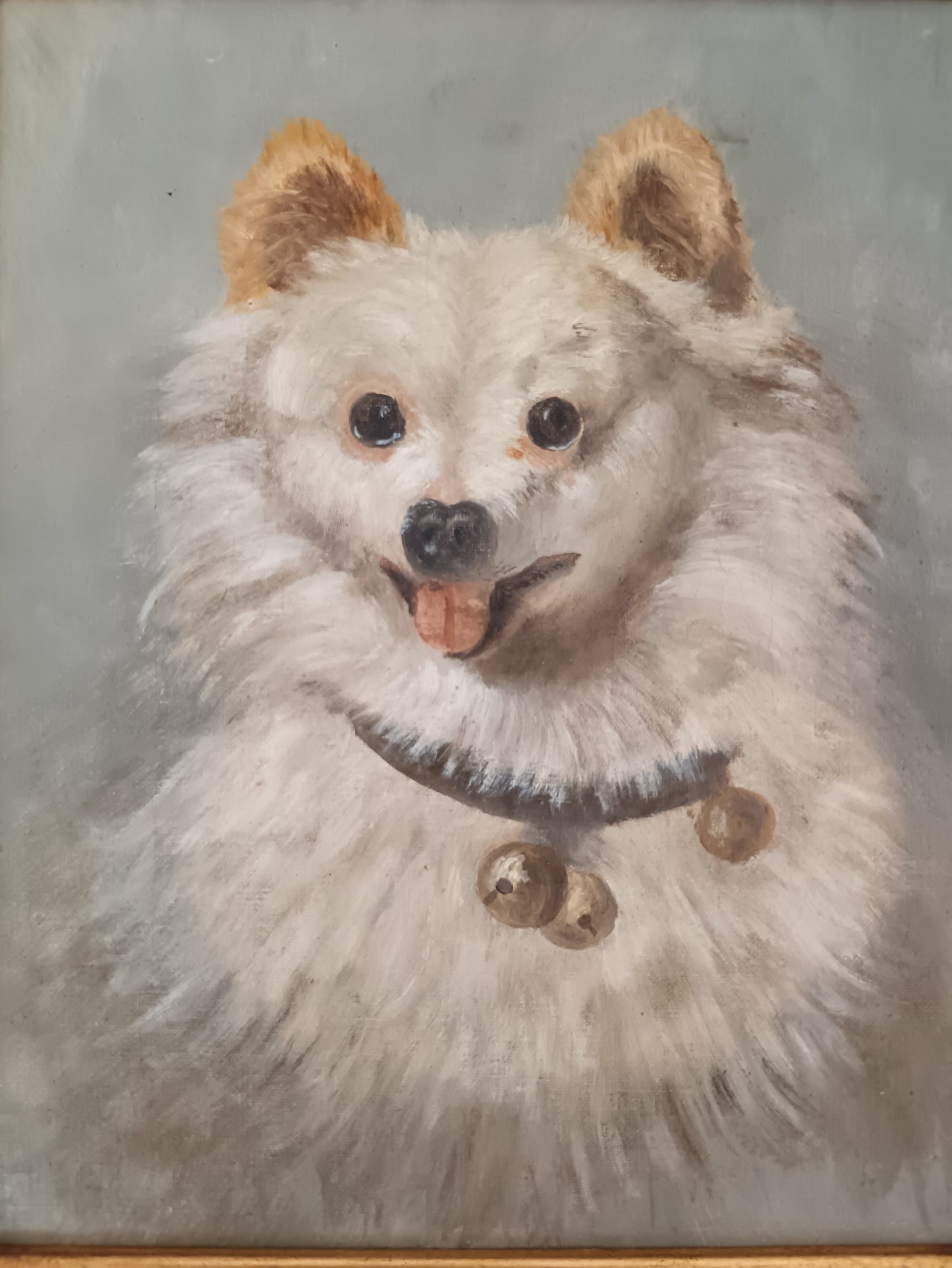 Copia da Filippo Palizzi – “Lupetto Bianco”, Olio su Tela con Cornice