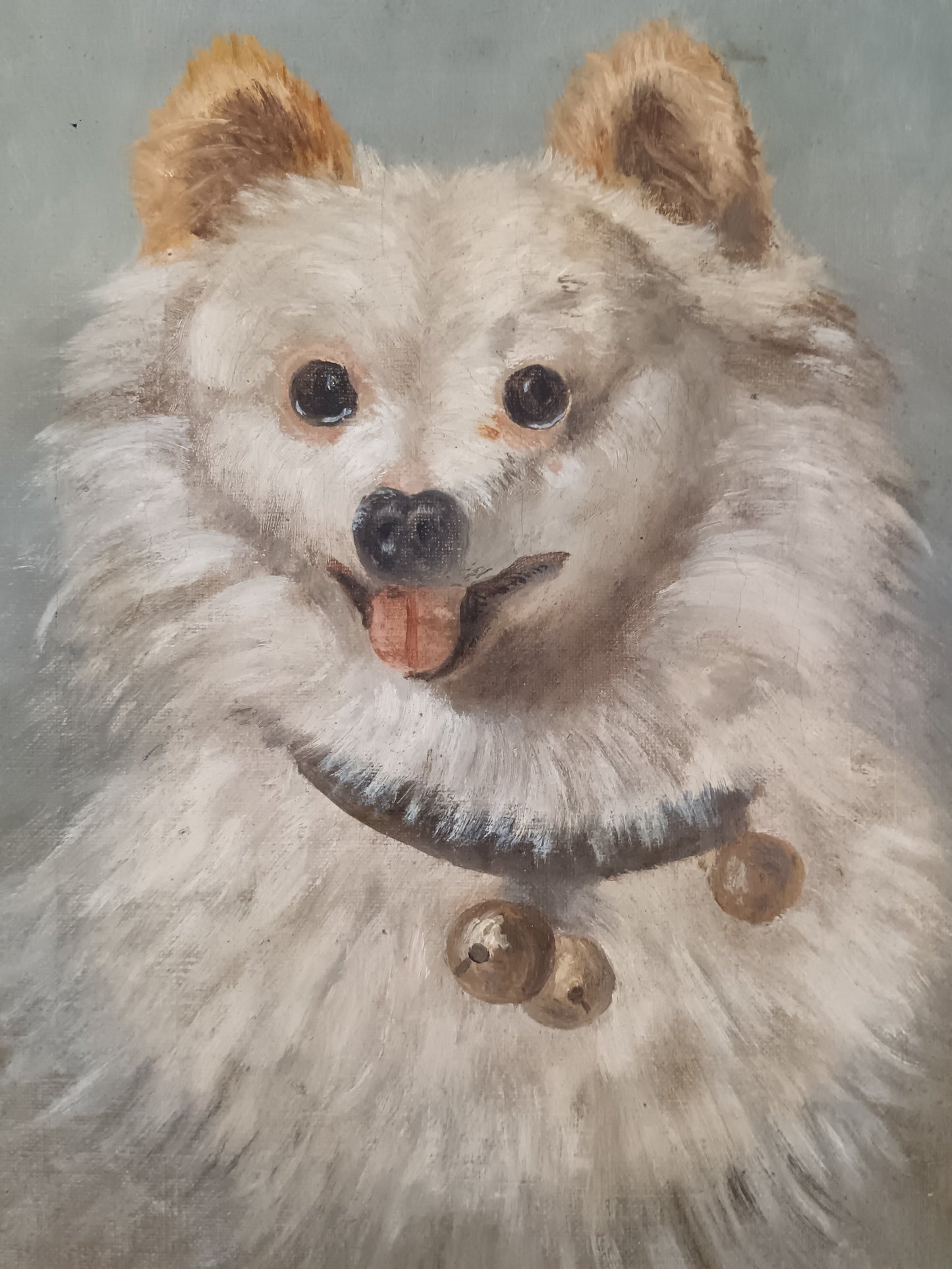 Copia da Filippo Palizzi – “Lupetto Bianco”, Olio su Tela con Cornice