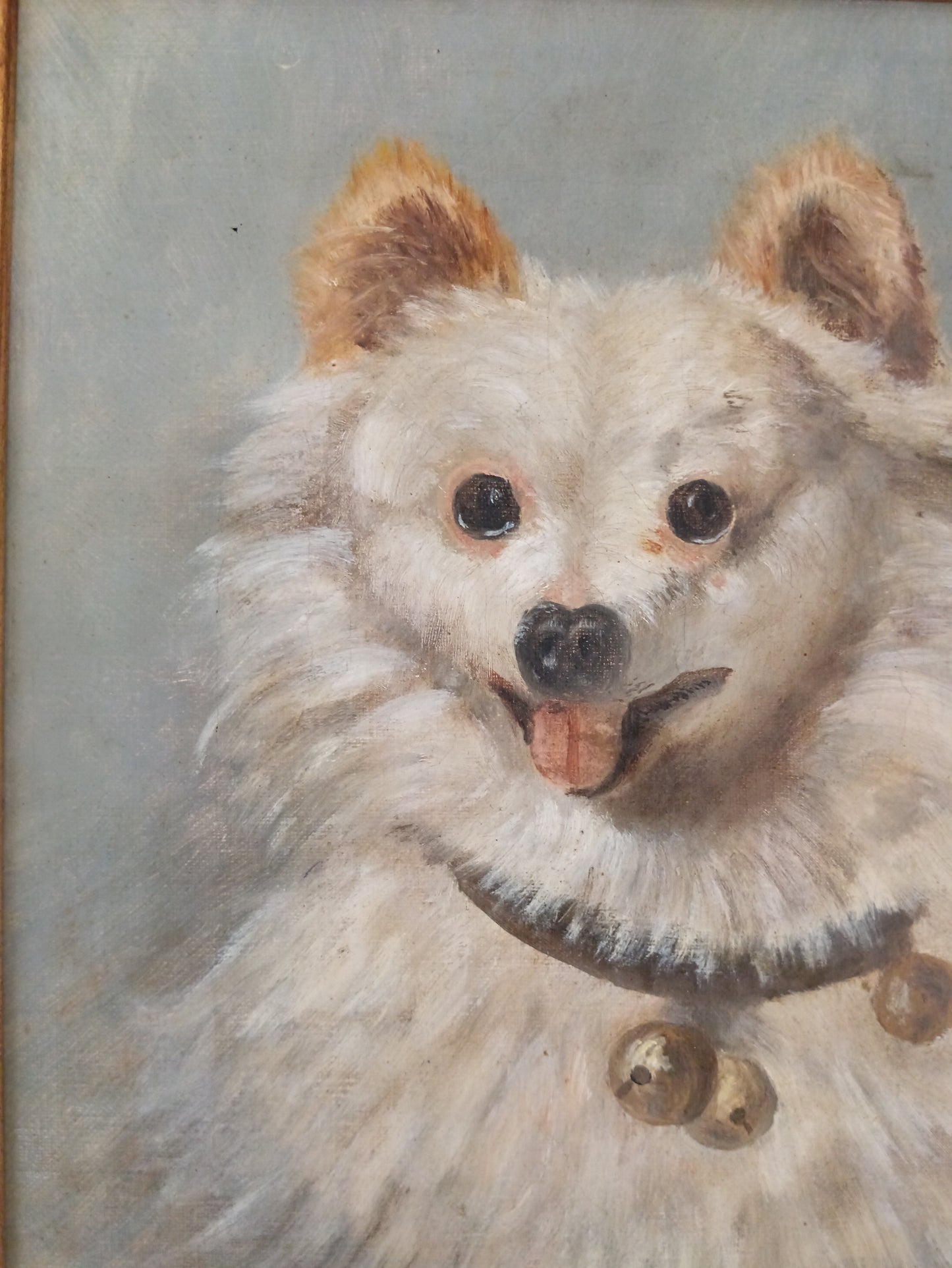 Copia da Filippo Palizzi – “Lupetto Bianco”, Olio su Tela con Cornice