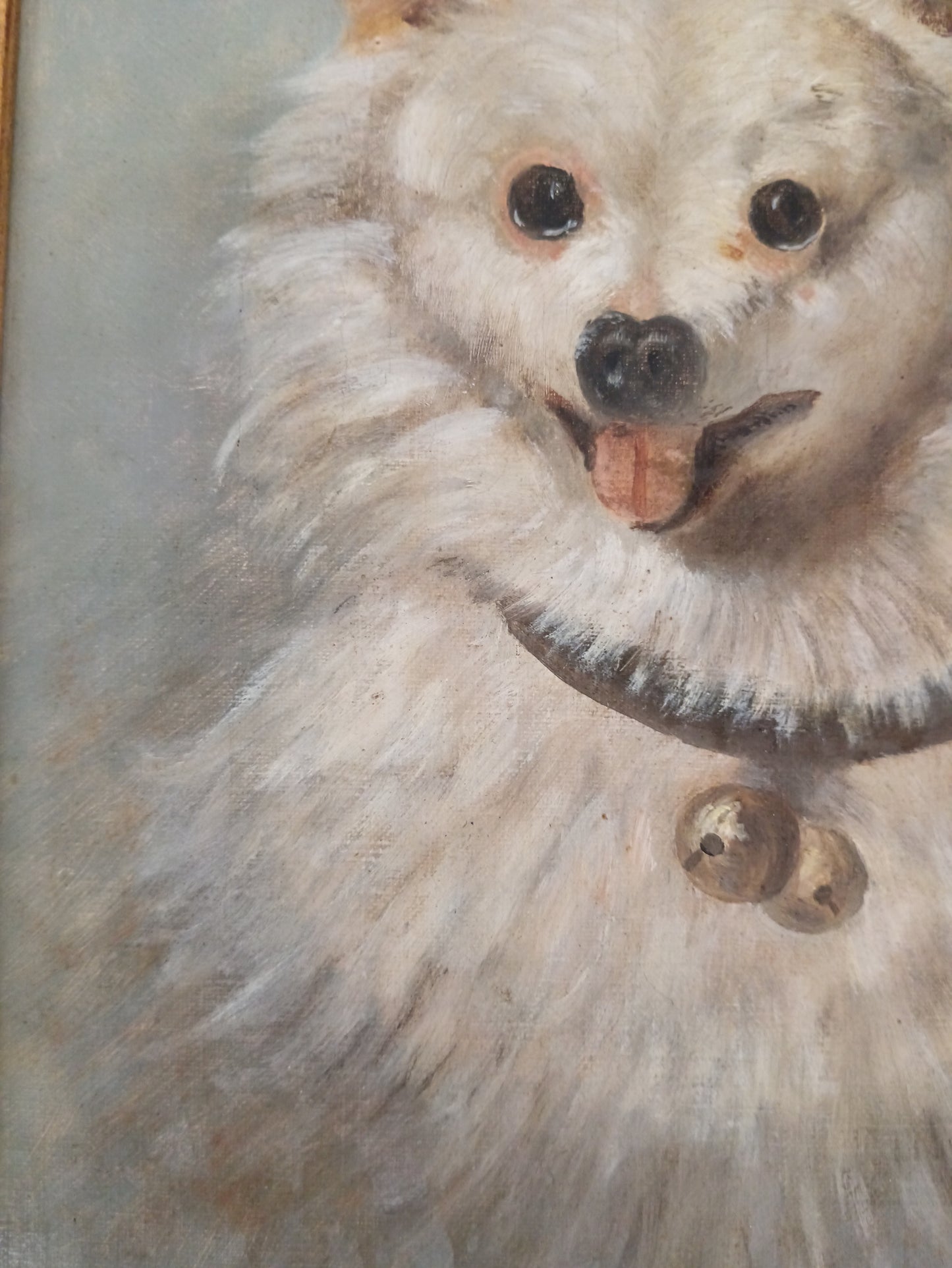 Copia da Filippo Palizzi – “Lupetto Bianco”, Olio su Tela con Cornice