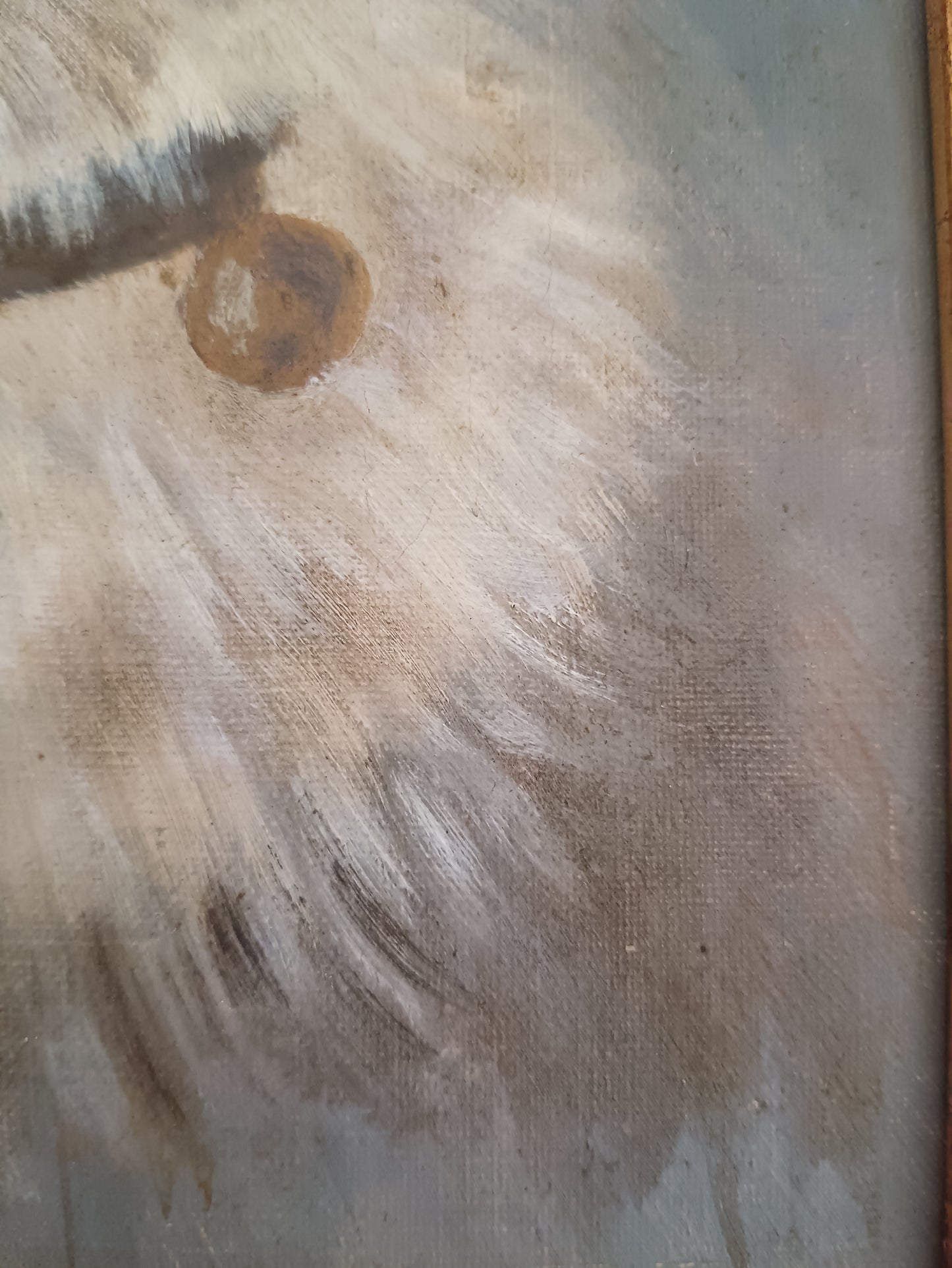 Copia da Filippo Palizzi – “Lupetto Bianco”, Olio su Tela con Cornice