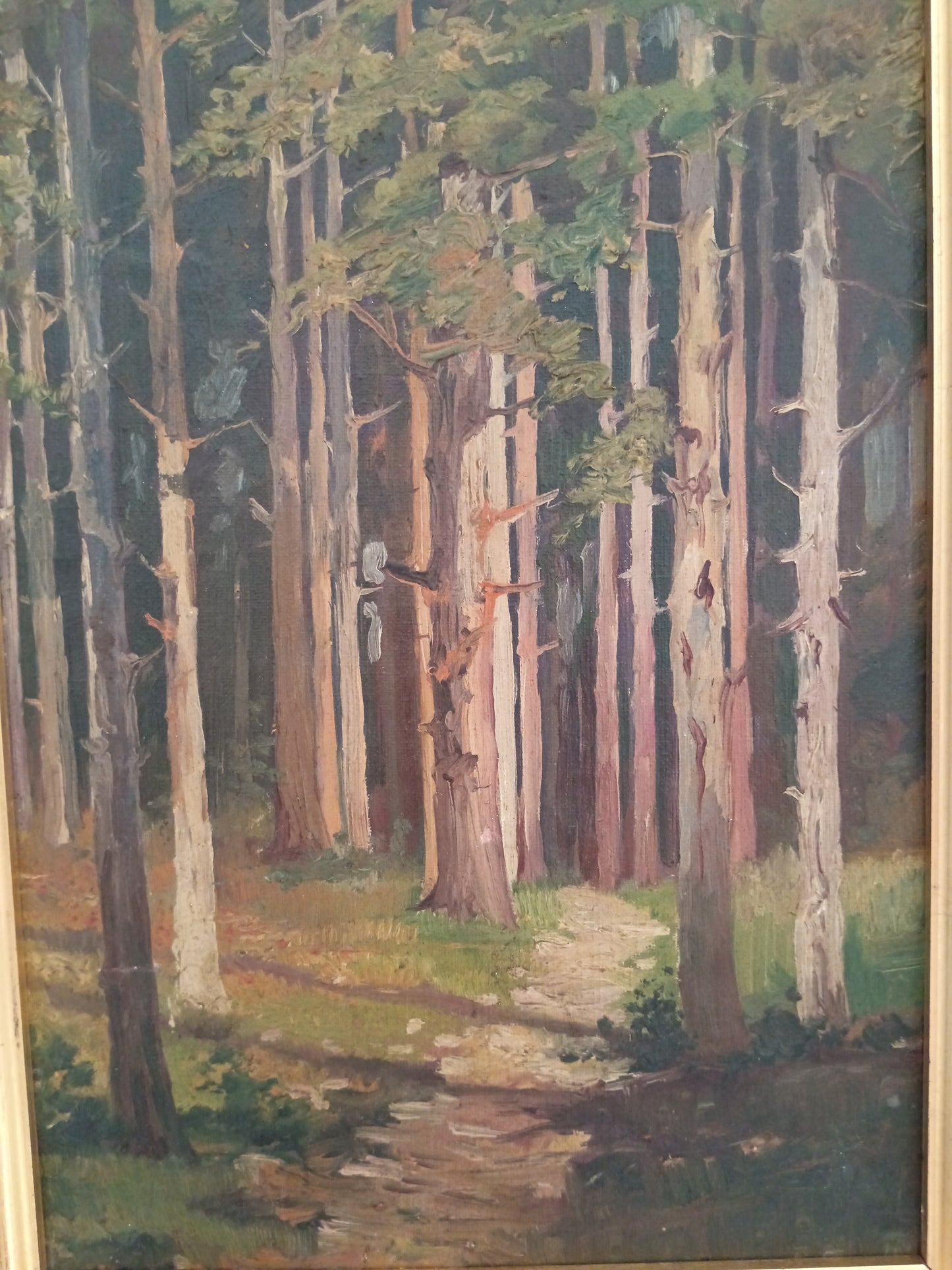 Roberto Nappo Olio su Masonite "Sentiero nella Pineta" Quadro Paesaggio Bosco