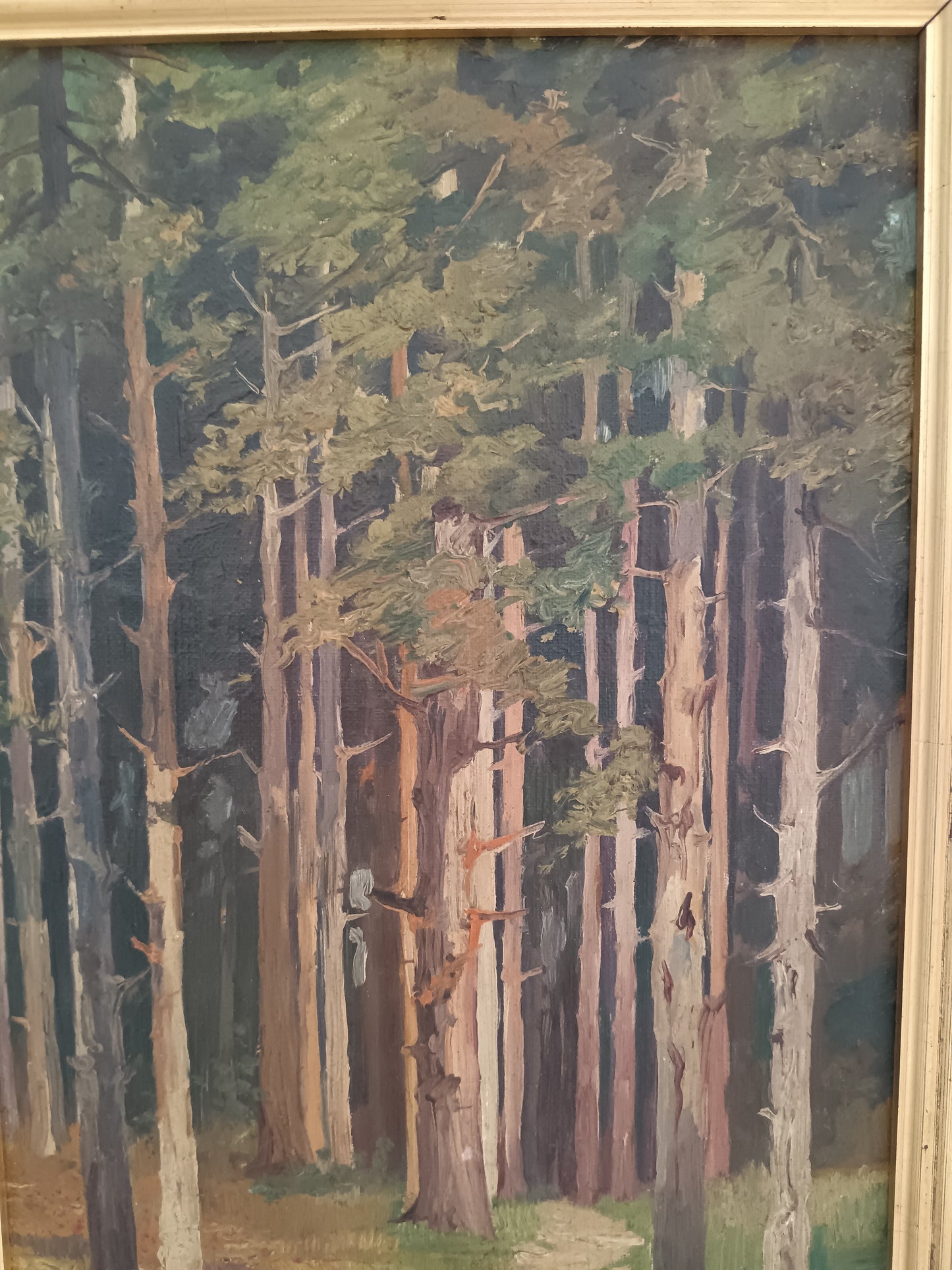Roberto Nappo Olio su Masonite "Sentiero nella Pineta" Quadro Paesaggio Bosco