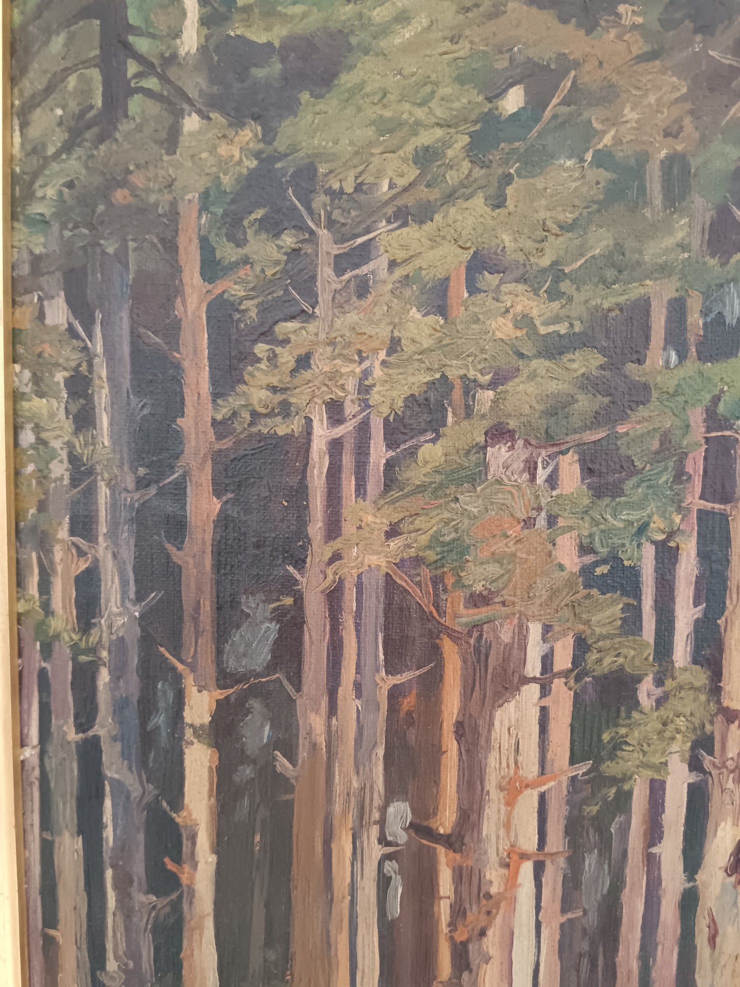 Roberto Nappo Olio su Masonite "Sentiero nella Pineta" Quadro Paesaggio Bosco