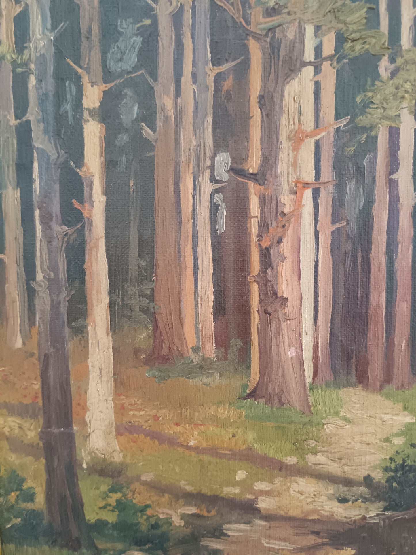 Roberto Nappo Olio su Masonite "Sentiero nella Pineta" Quadro Paesaggio Bosco