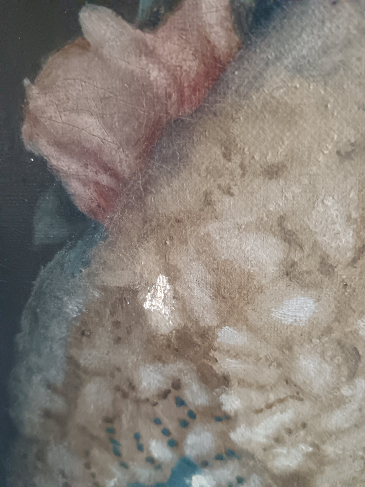RARO RITRATTO DELLA REGINA MARGHERITA DI SAVOIA – OLIO SU TELA (FINE '800 / PRIMI '900