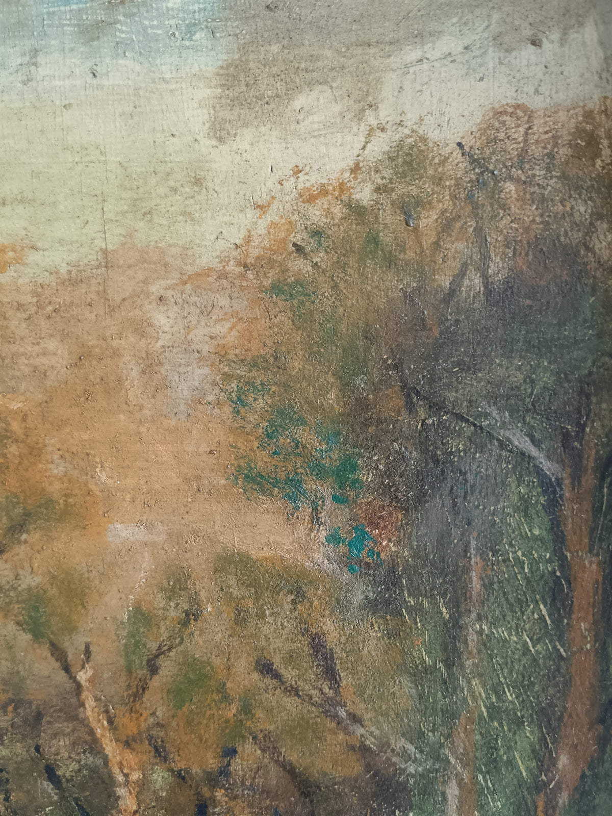 Dipinto Olio su Tavola "Paesaggio Boschivo" - François-Joseph VERNAY (1864-1950)