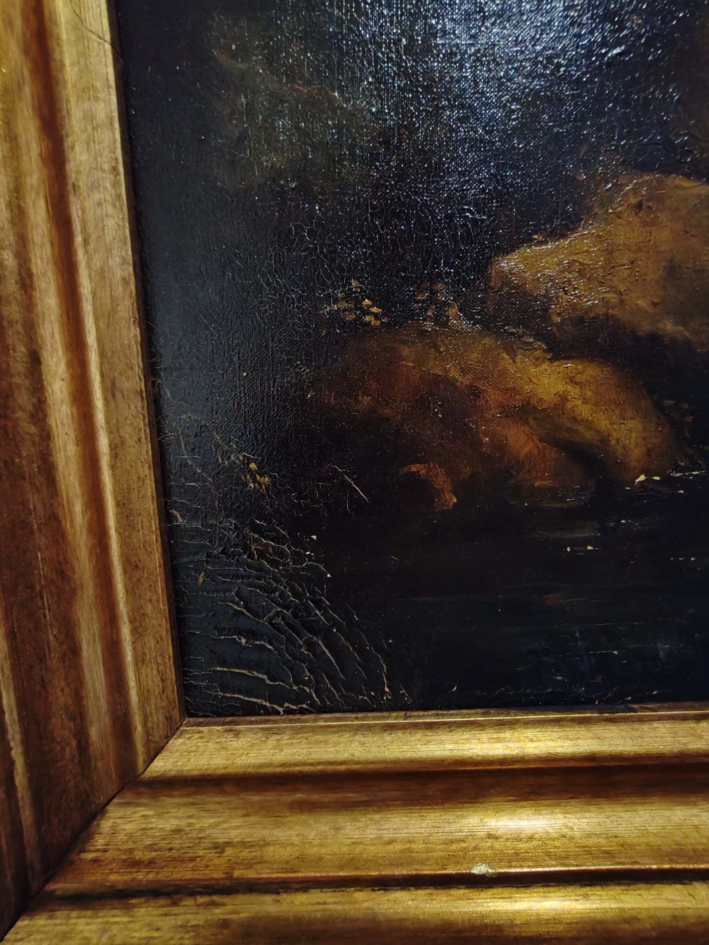Paesaggio Estensivo (XX Secolo)- dipinto olio su tela