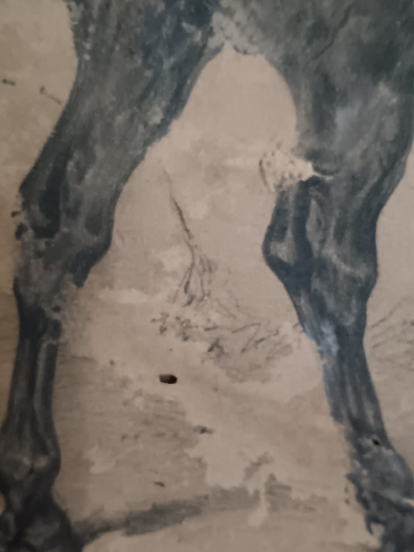 Jean Victor Adam (1801-1866) dipinto matita su carta applicata su legno